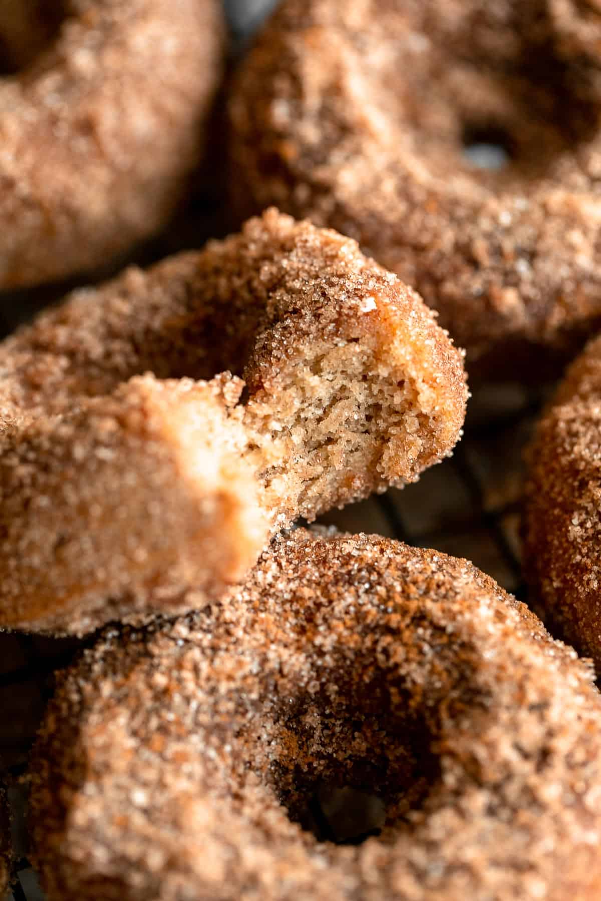vegan gluten free donuts with cinnamon sugar coating