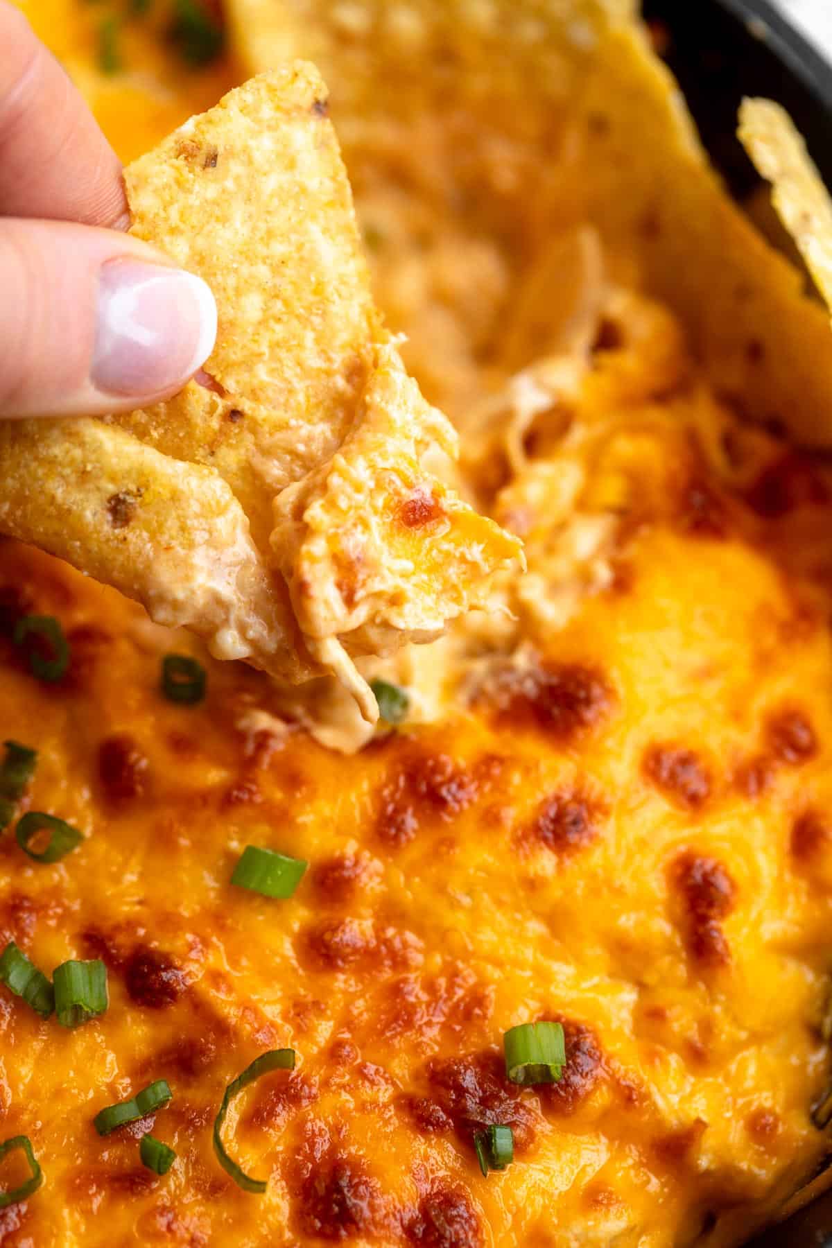 dipping a chip in the gluten free buffalo chicken dip with cheese on top