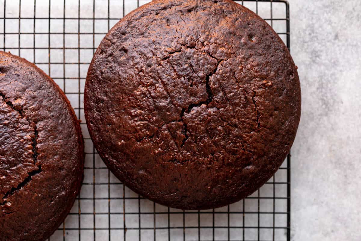 cake after coming out of the oven