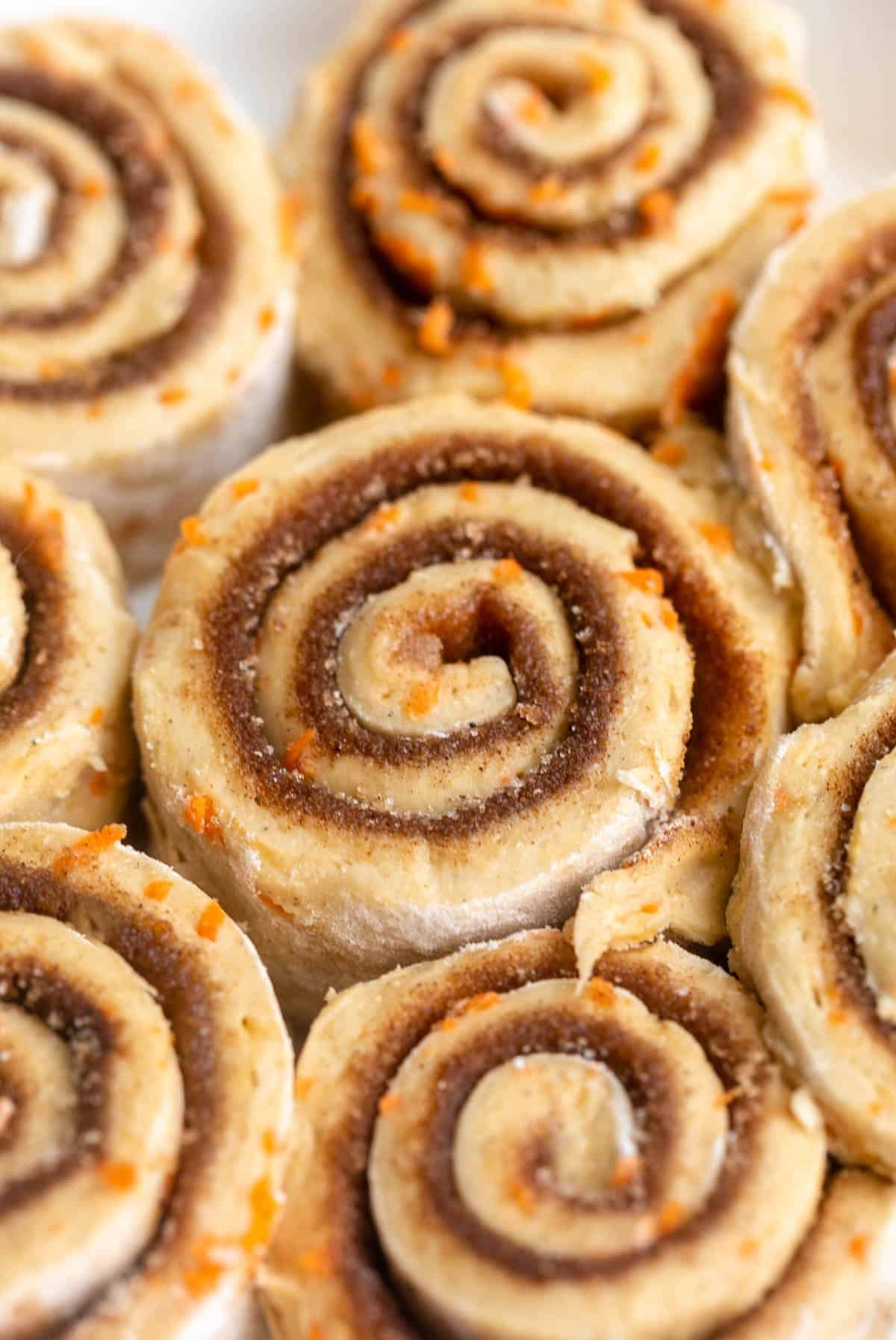 carrot cake cinnamon rolls before going in the oven