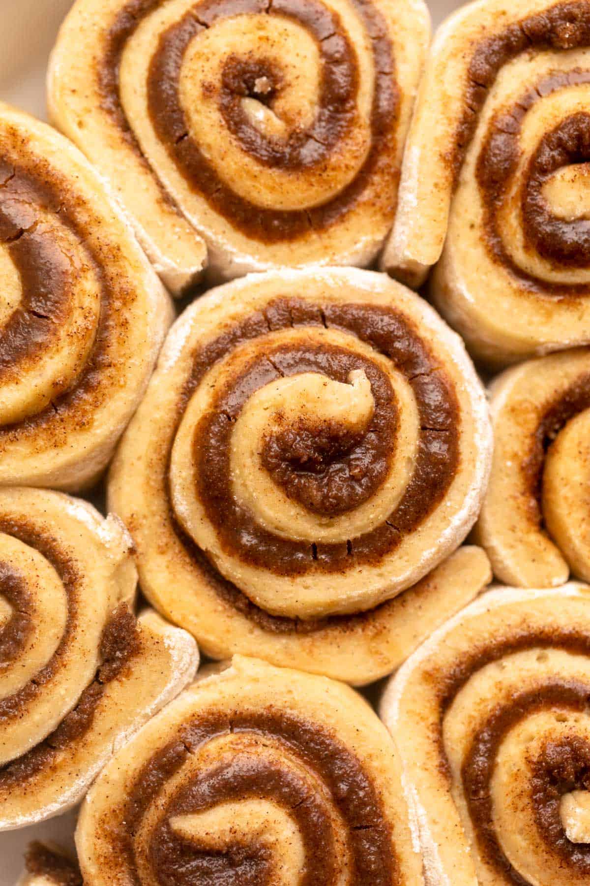 cinnamon rolls before baking