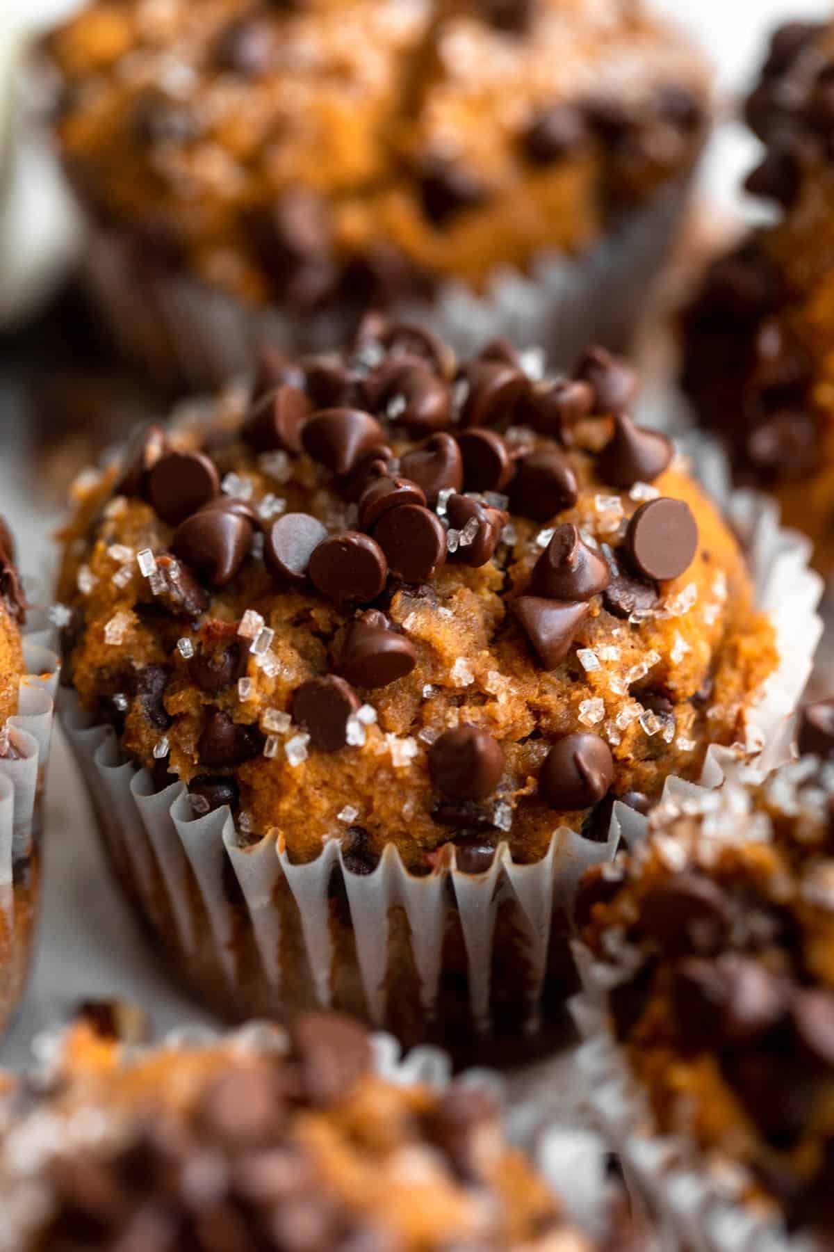 pumpkin protein muffins with chocolate chips on top